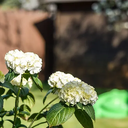 Кемпинг Garden Пярну